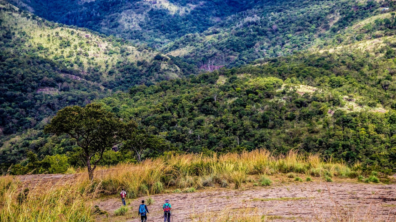 Kodai-Palani-Trek